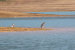 FOTO: Ramsko jezero - mjesto uživanja i rekreacije