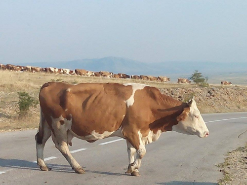 I biciklisti iz Rame krenuli na hodočašće u Sinj