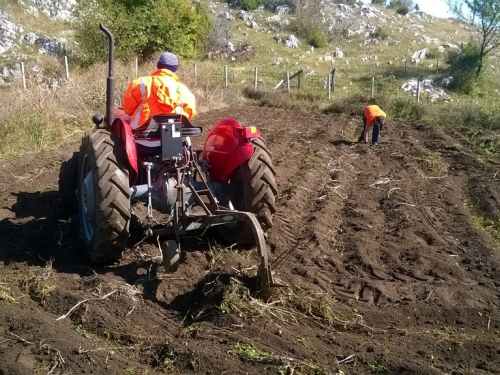 Ubiranje plodova svoga rada