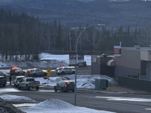 Kanada: Najmanje 10 mrtvih i 25 ozlijeđenih, napadač je žena?