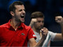 Hrvatska pobijedila Srbiju i izborila novo finale Davis Cupa