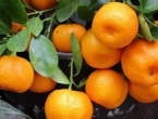 Uništene mandarine pune pesticida
