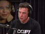 Elon Musk: Želim povezati vaše mozgove s kompjuterima
