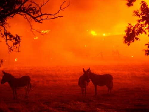 Požari izazvani tisućama munja bjesne Kalifornijom