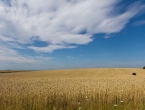 Pet država s istoka Europe želi produžetak zabrane uvoza ukrajinskog žita
