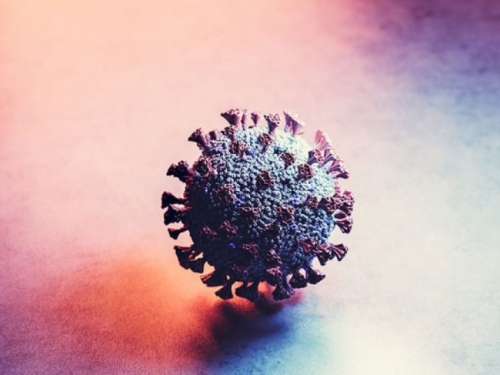Stručnjaci objasnili zašto neki ljudi nisu imali koronavirus