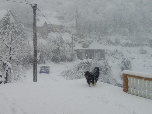 FOTO: Snijeg jutros zabijelio Ramu