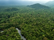 Uništenje šuma u Amazoni palo za 50 posto u 2023.