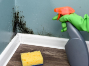 Vlaga vam se zavukla u uglove? Lako dostupno sredstvo riješit će problem za čas,