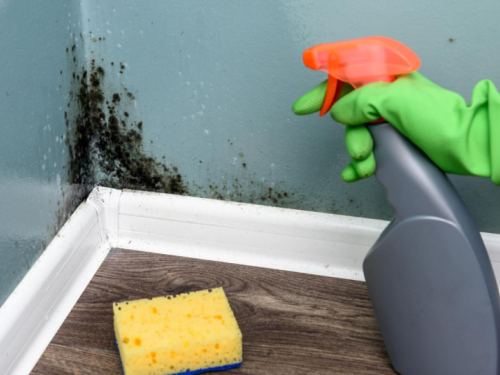 Vlaga vam se zavukla u uglove? Lako dostupno sredstvo riješit će problem za čas,