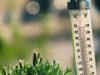 Stiže još jača vrućina: Temperature na jugu BiH rastu do 39 stupnjeva