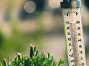 Stiže još jača vrućina: Temperature na jugu BiH rastu do 39 stupnjeva