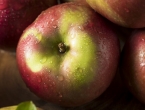 Znate li koja je najstarija sorta jabuke, uzgaja se i danas