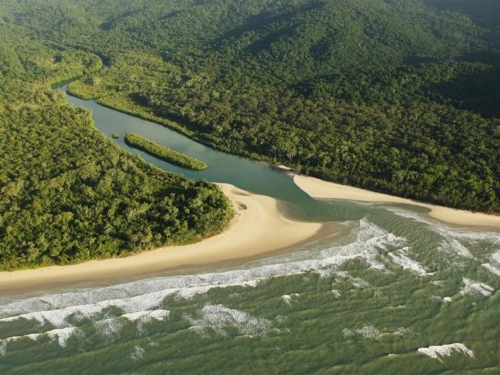 Jedna od najstarijih prašuma na svijetu vraćena tradicionalnim vlasnicima