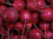 Ova namirnica s malo kalorija regulira krvni tlak i odlična je za jetru