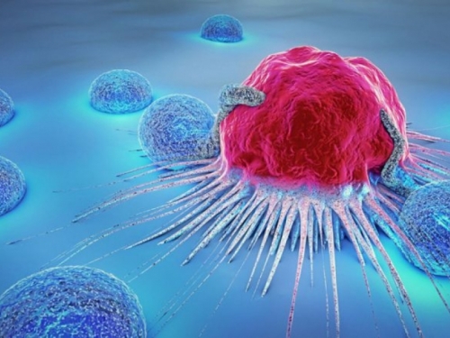 Revolucionarna terapija protiv raka stiže iz Japana