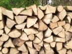Cijena metra drva doseže i 120 KM