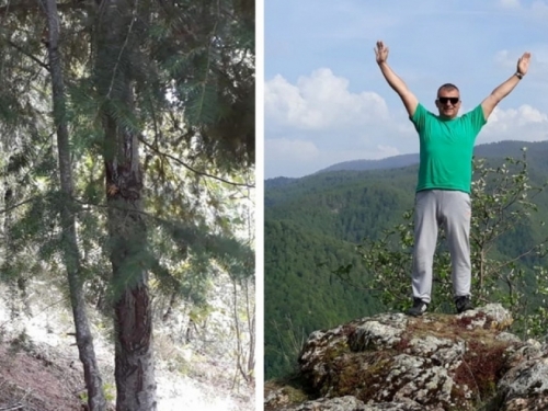 Marko Romić, čovjek koji je zasadio cijelu šumu