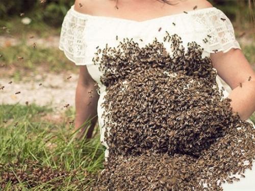 Trudnica pozirala s više od 20 tisuća pčela na svom trbuhu