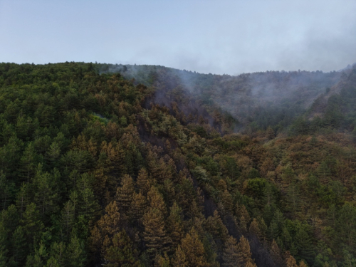 FOTO/VIDEO: Lokaliziran požar u Rami