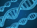 Otkrive kromosom koji će pomoći u istraživanju muške neplodnosti