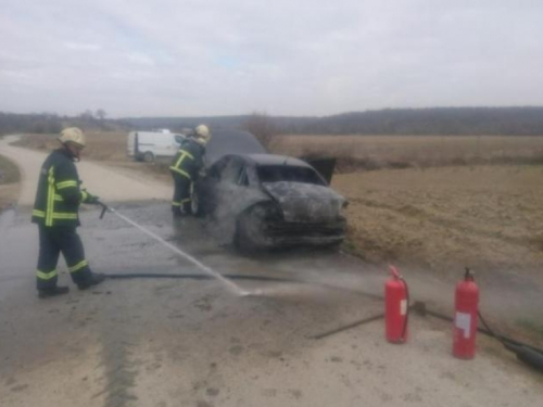 Palio korov na njivi pa zapalio auto