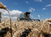Rusija najavljuje izvoz 65 milijuna tona žitarica