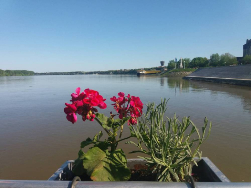 FOTO: Učitelji posjetili Vukovar, Ilok i Đakovo