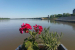 FOTO: Učitelji posjetili Vukovar, Ilok i Đakovo