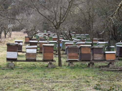 Prosinac u pčelinjaku: Što napraviti tijekom zimskog razdoblja?