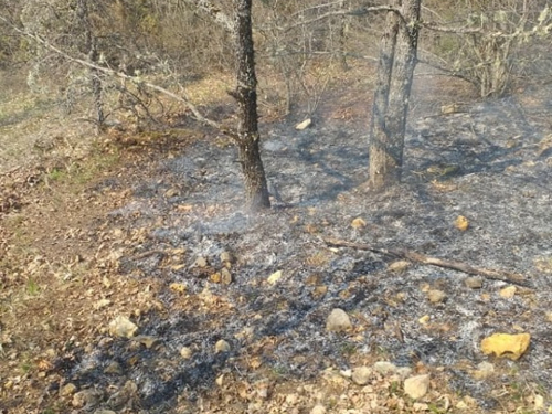 Požar u Donjoj Rami se širi, gase ga vatrogasci i mještani