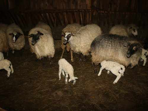 FOTO: Čuvari ''Ramskih vrata''