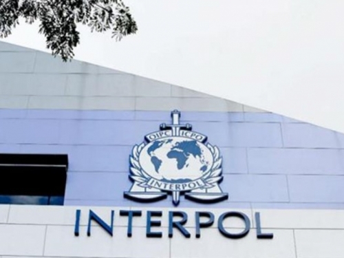 Interpol traga za 121 kriminalcem iz BiH