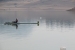 FOTO: Veslačka regata na Ramskom jezeru