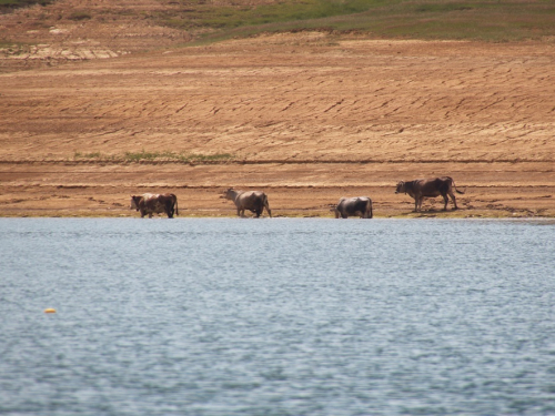 FOTO: Ramsko jezero - mjesto uživanja i rekreacije