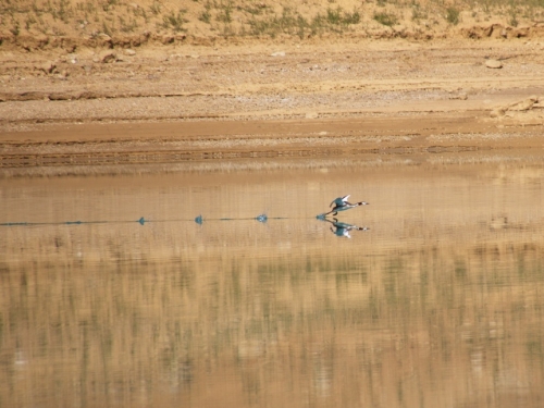 FOTO: Ramsko jezero - mjesto uživanja i rekreacije