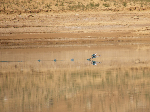 FOTO: Ramsko jezero - mjesto uživanja i rekreacije