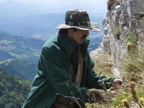 VIDEO: Dođe na izlet i ubere dnevnicu 400 KM