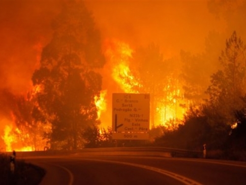 Srušio se avion koji je gasio katastrofalne požare u Portugalu