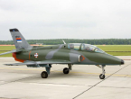 Srbija: U padu aviona poginuo pilot