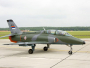 Srbija: U padu aviona poginuo pilot