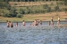 FOTO/VIDEO: Ramci spas od vrućina pronašli na Ramskom jezeru