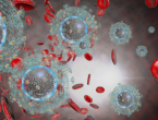 Napredak u borbi protiv HIV-a: Novo antitijelo napada 99 posto virusa