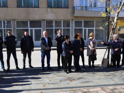 FOTO: Svi sveti - U Prozoru zapaljene svijeće za poginule i preminule branitelje