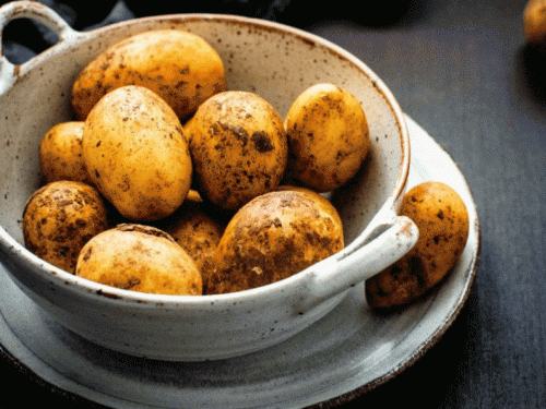 Kako čuvati krumpir u stanu