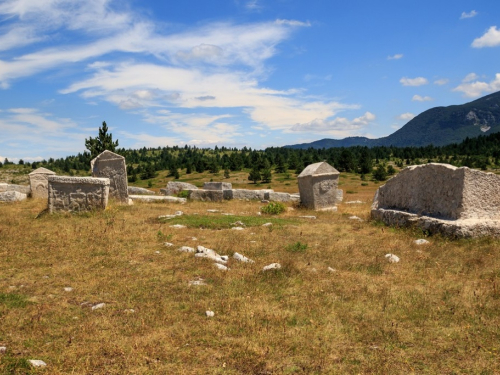 FOTO: U pohode hajdučkoj planini