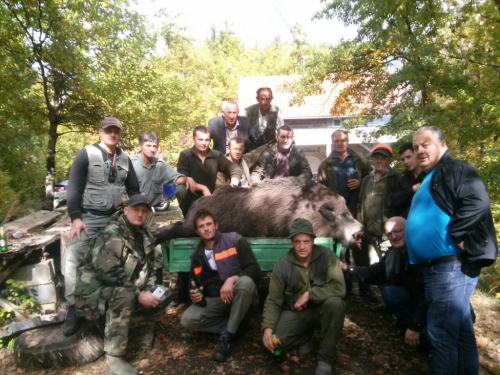 Lovci lovačke sekcije "Lug" ubili divlju svinju tešku 220 kg