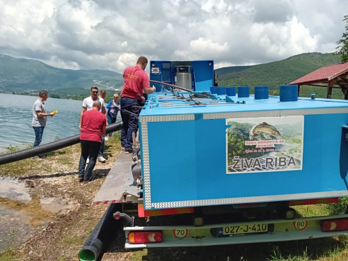 Ramsko jezero bogatije za 18.000 komada ribe