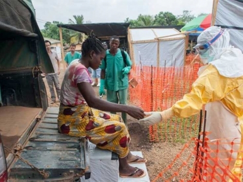 1.000 umrlih od ebole