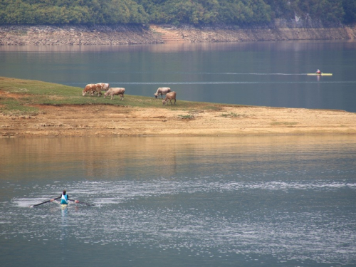 FOTO: Na Ramskom jezeru održana 3. veslačka regata